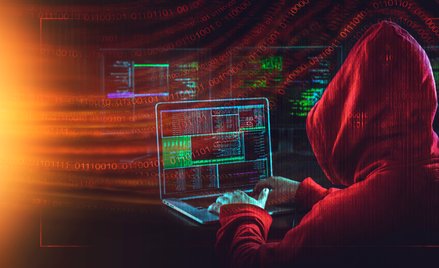 Eksperci uważają, że działalność sieci portali nosi znamiona rosyjskiej operacji wywierania wpływu