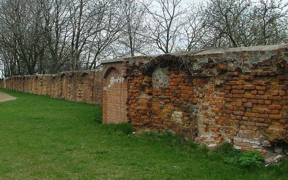 Archeolodzy odkopują średniowieczny zamek w Chełmie