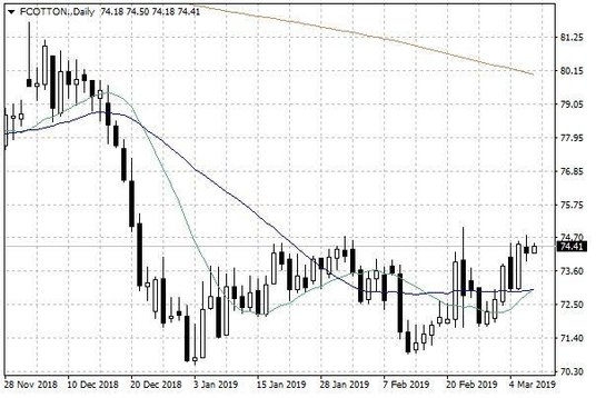 Notowania bawełny w USA – dane dzienne
