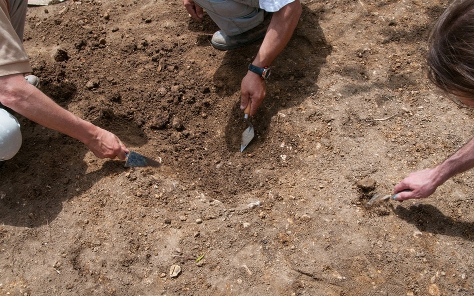Archeolodzy odkryli starożytne egipskie miasto Imet / zdjęcie ilustracyjne