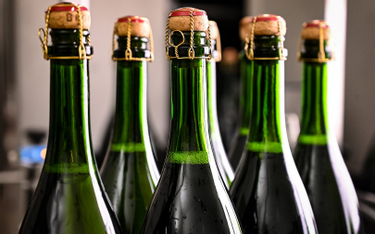 Fatalny rok dla producentów francuskiego szampana