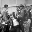 Mario Savio szarpie się z policjantami, którzy chcą go aresztować w trakcie protestów studenckich na