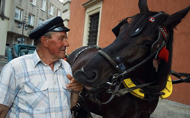 Dorożkarz Krzysztof Szczepański swoje konie traktuje jak dzieci