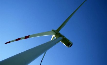 Boom na wiatrowe farmy