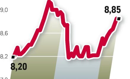 Kurs akcji spółki wzrósł od czasu ogłoszenia wezwania na jej papiery i wystawienia na sprzedaż jej k