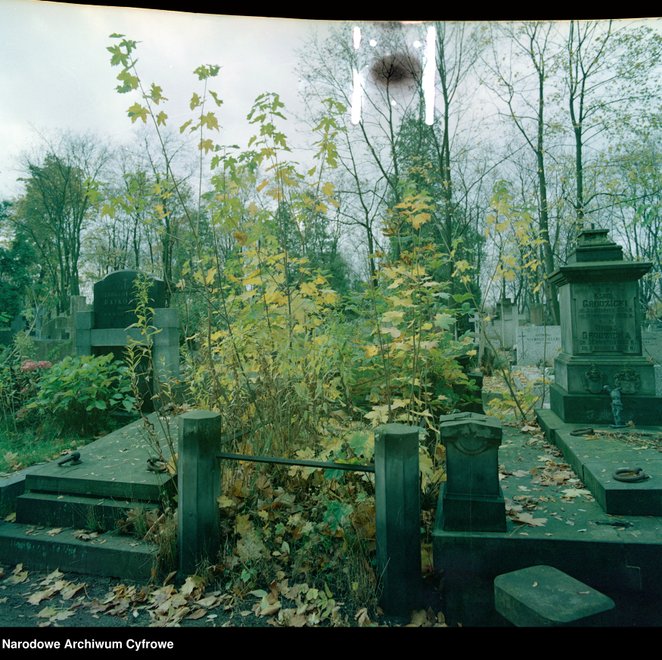 Stare Powązki w latach 70. XX wieku potrzebowały gwałtownie renowacji. Na szczęście pojwił się Jerzy