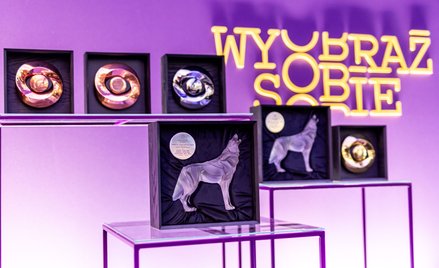 Nagroda Wyobraź Sobie