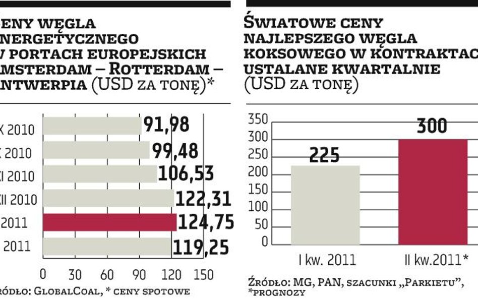 Zapowiada się rok drogiego węgla