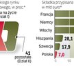 Równowartość 7 mld euro wydali w ubiegłym roku Polacy na polisy z tzw. działu I, czyli przede wszyst