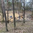 Masowa mogiła znaleziona w lesie w Białołęce