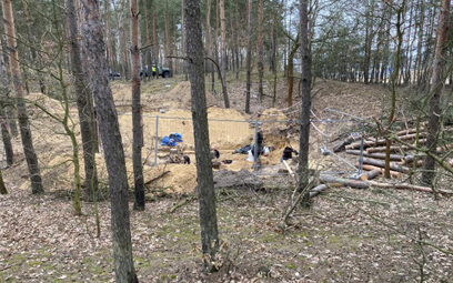 Masowa mogiła znaleziona w lesie w Białołęce
