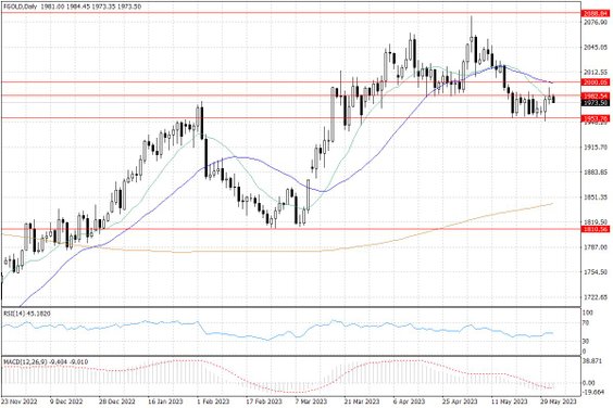 Notowania złota – dane dzienne