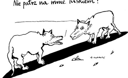 Komentarz rysunkowy. Nie patrz na mnie Tuskiem!