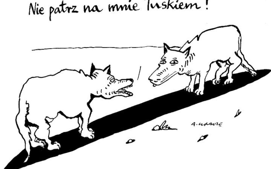 Komentarz rysunkowy. Nie patrz na mnie Tuskiem!