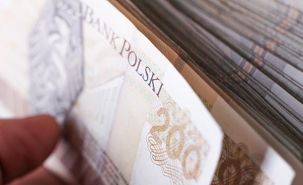 Złoty w klubie ryzykownych walut