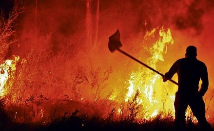 Pożary wywoływane przyczynami naturalnymi bardziej przyczyniają się do redukcji obszarów leśnych, w 