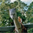 Eragon: film fantasy o ślicznym smoku