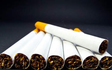 Policja: nielegalna produkcja tytoniu wciąż dochodowa dla przestępców