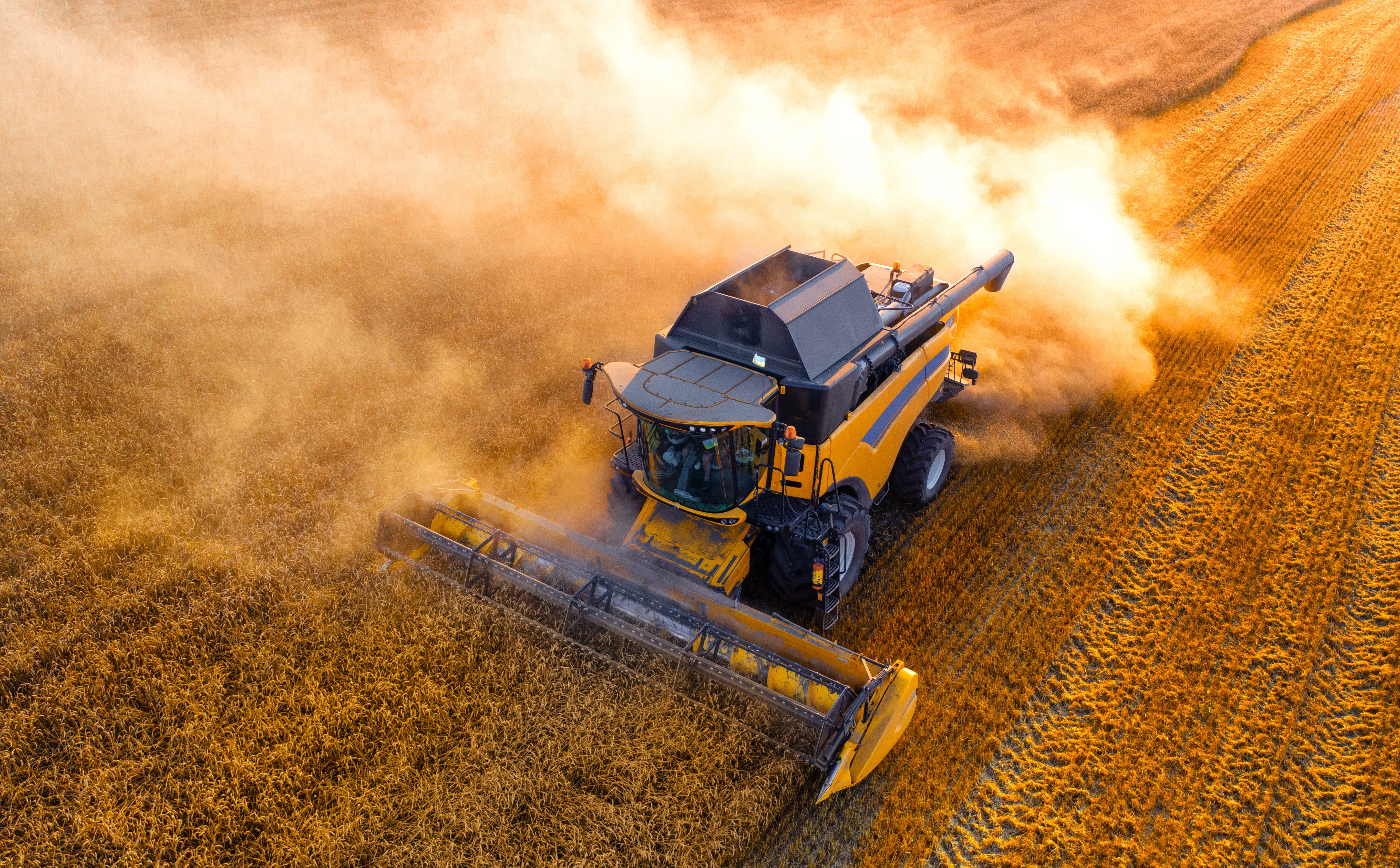 Kernel zmniejszył dług i chce dalej przejmować. Wziął na celownik grupę IMC