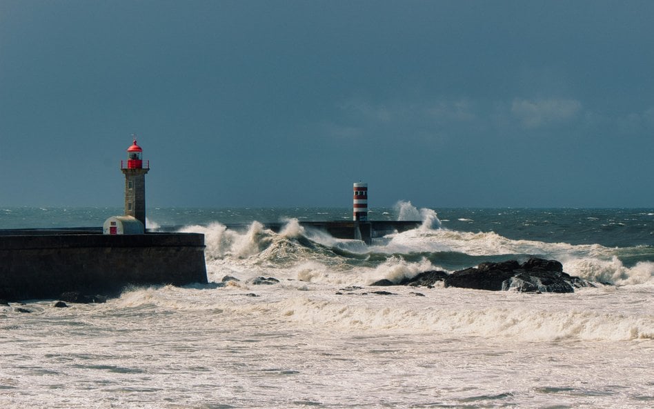 Wzrost zakwaszenia oceanów to efekt ich niedotlenienia, co jest konsekwencją pochłaniania zwiększony
