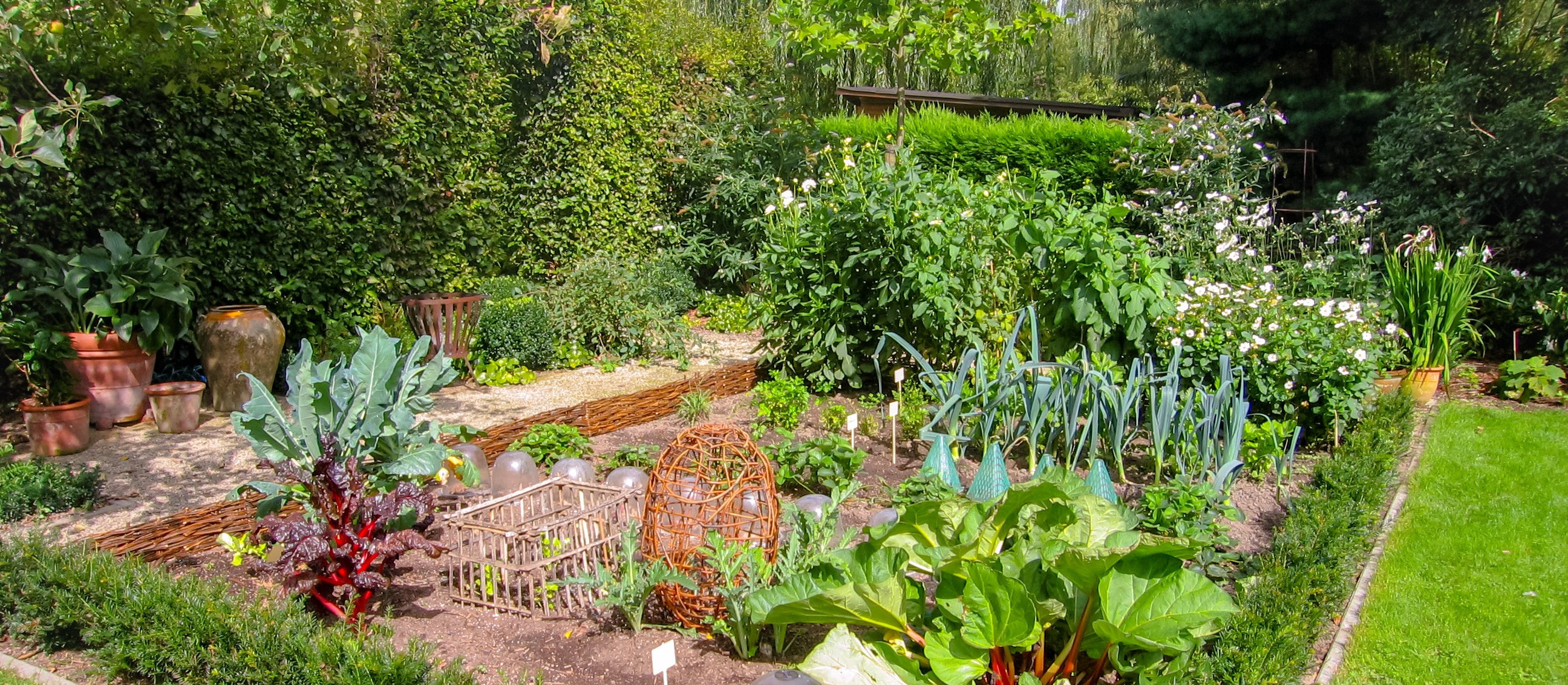 „Serce się kraje”. W środku ogródków działkowych powstanie osiedle mieszkaniowe