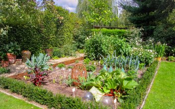 Na części ROD na Targówku może powstać osiedle / zdjęcie ilustracyjne