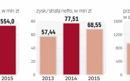 Wyniki finansowe Stelmetu