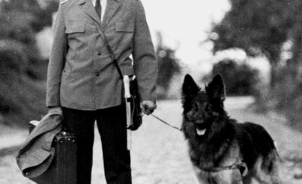 Jak pies został gwiazdą