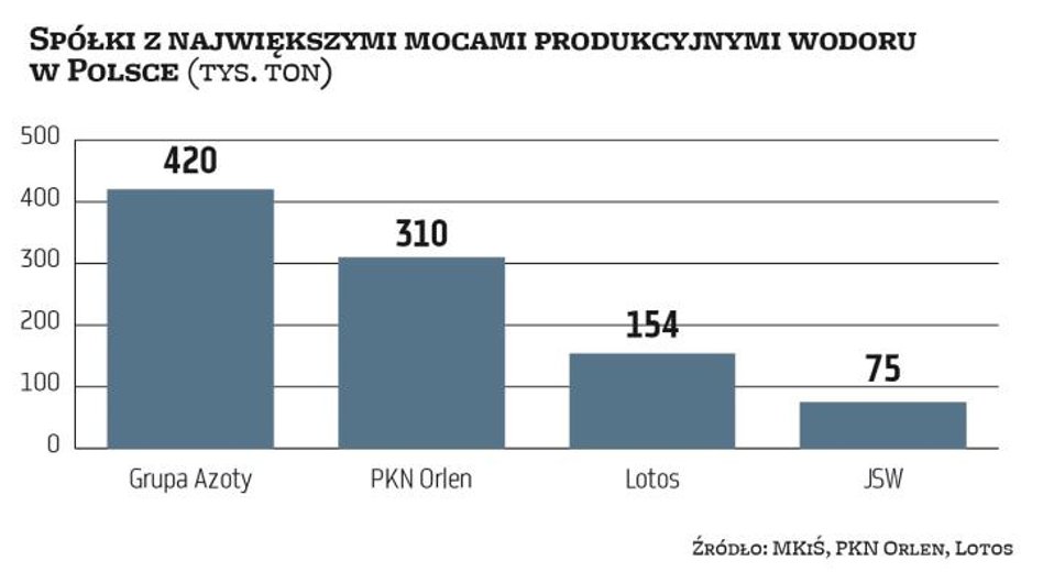 Polska produkuje rocznie ok. 1 mln ton wodoru. Głównymi jego wytwórcami i jednocześnie konsumentami 