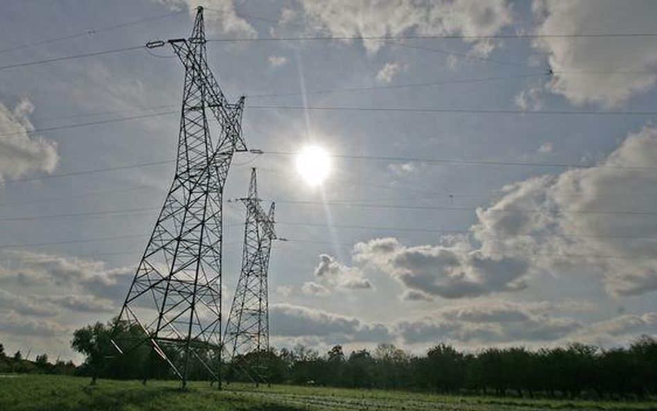 Sprzedawcy prądu żądają niższych podwyżek cen