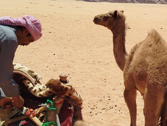 Wadi Rum – urokliwy zakątek pustyni, na którym nakręcono wiele filmów.