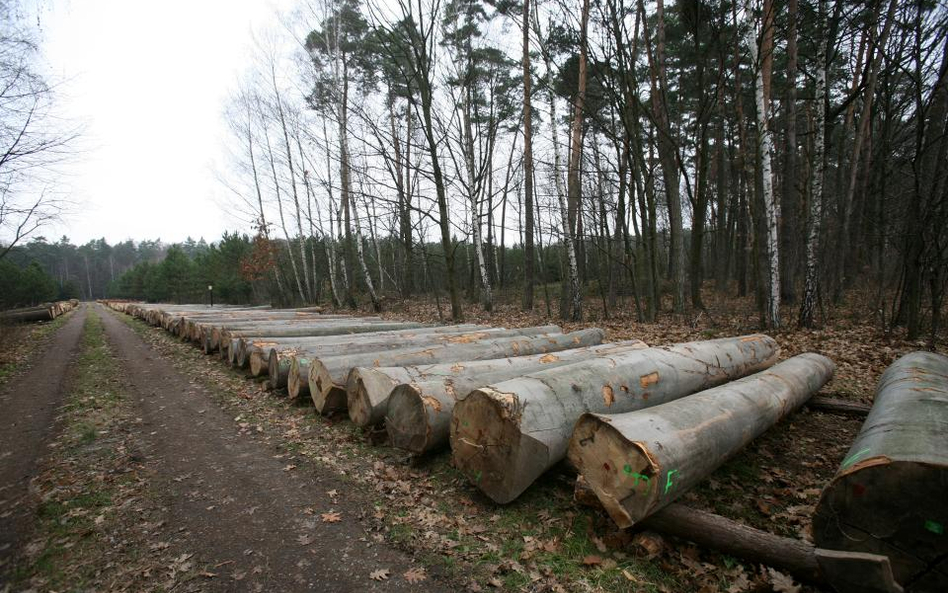 "Mamy doczynienia z konfiskatą majątku przedsiębiorstwa"