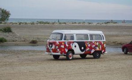 Licencja niezbędna tylko przy zarobkowych przewozach