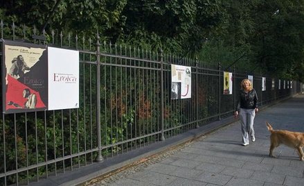 Kina czar na parkanie Łazienek