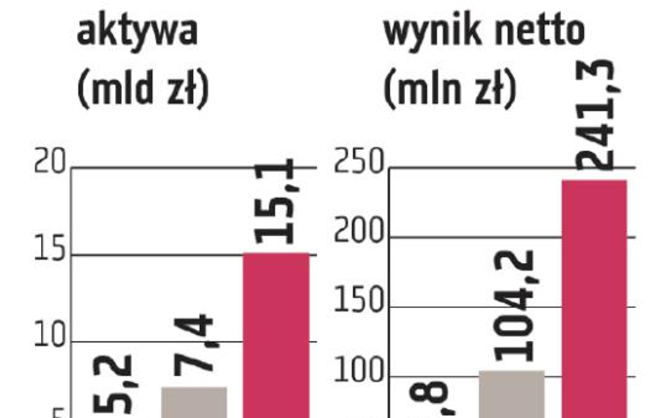 Idea Bank stawia na szybki rozwój