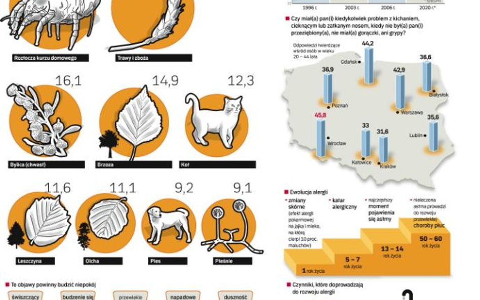 Choroby alergiczne są głównie zmorą mieszkańców dużych miejskich aglomeracji, rzadziej wsi