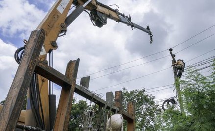 Energetyka korzysta z ok. 20 tys. pojazdów (koszt jednego to co najmniej 100 tys. zł). Flotę wymieni