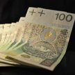 Wpis na stronie www.rfp.org.pl informuje o tym, że dana firma prowadzi działalność pożyczkową ze śro