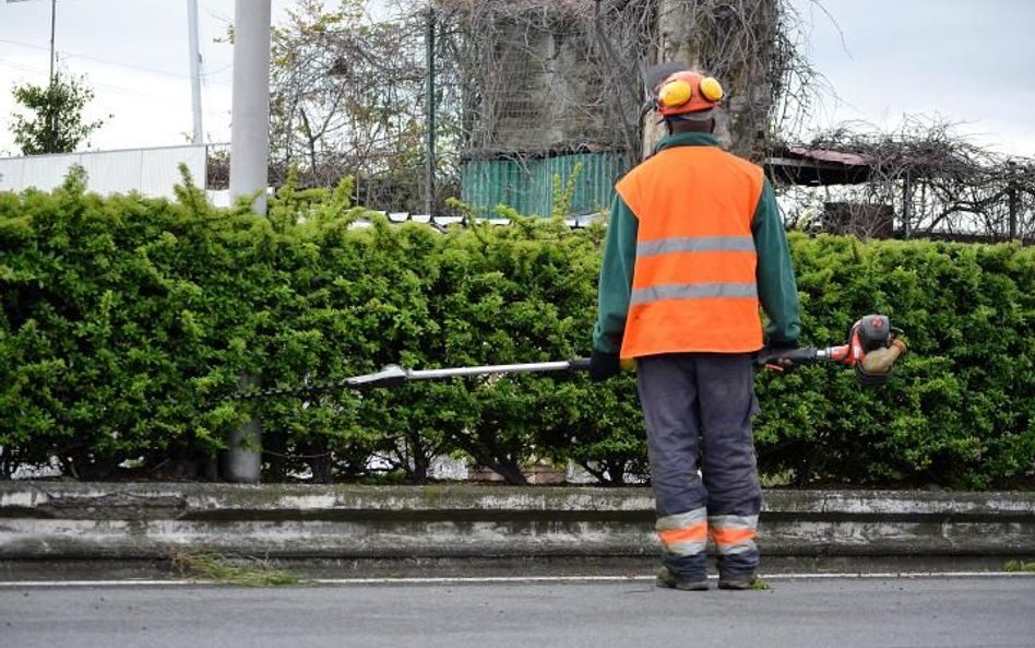 Brzeg chce znów nosić miano „miasta ogrodu”