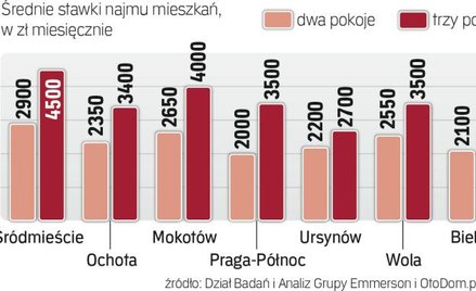 Wynajem: Lokum dla studenta
