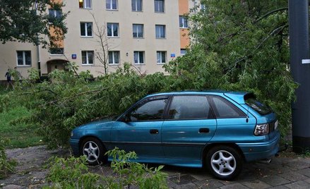 Gotowi na ocieplenie