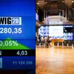 Na otwarciu środowej sesji WIG wzrósł o 0,34 proc., a WIG20 poszedł w dół o 0,19 proc. do 2450,49 pk