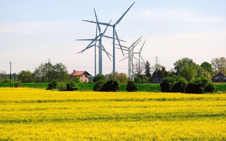 Ceny energii z tradycyjnych źródeł i konieczność redukowania śladu węglowego będą napędzać rynek OZE