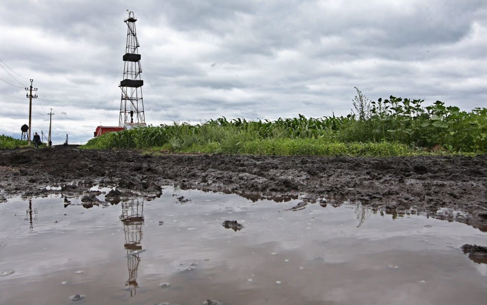 Pole gazowe w obwodzie połtawskim