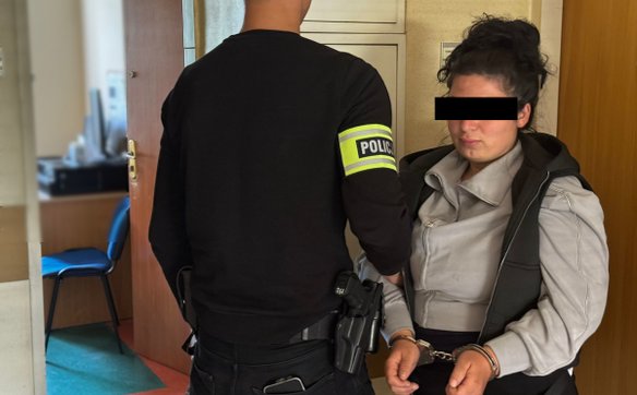 Wśród zatrzymanych znalazła się 35-letnia Gruzinka