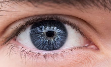 Naukowcy częściowo przywrócili wzrok niewidomemu