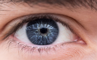 Naukowcy częściowo przywrócili wzrok niewidomemu