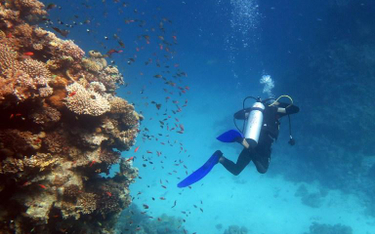 Taba to miejsce znane szczególnie wśród turystów uprawiających nurkowanie w Morzu Czerwonym