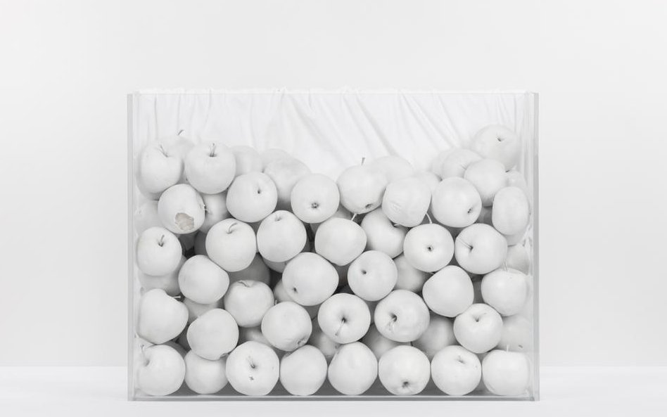 Tomasz Wysocki. Zdjęcie z cyklu In-visibilis