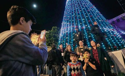 Słynna choinka na placu Manger przed bazyliką w Betlejem przyciąga rzesze turystów. W tym roku będzi